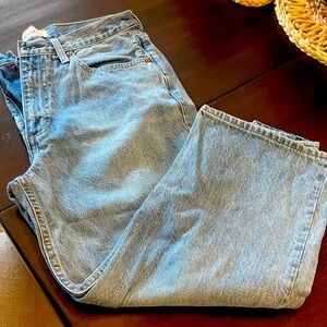 Aritzia denim forum - 90s iggy lo-rise Classic Blue Denim Jeans